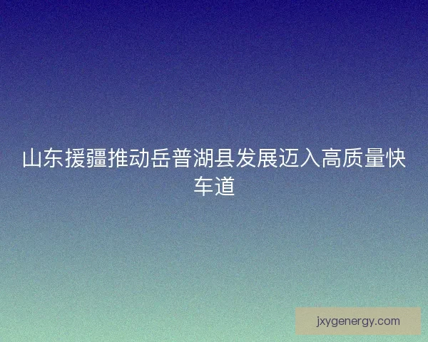 山东援疆推动岳普湖县发展迈入高质量快车道
